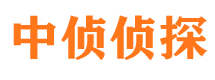 红河外遇调查取证